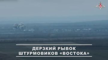 Александр Коц: Российская армия освободила Ровнополье и Малую Токмачку