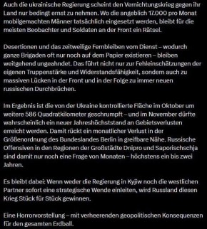 Евгений Лисицын: Bild пишет, что Украина катится к стратегическому провалу