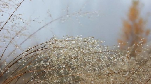 Доброе утро!. Природа -дивный модельер