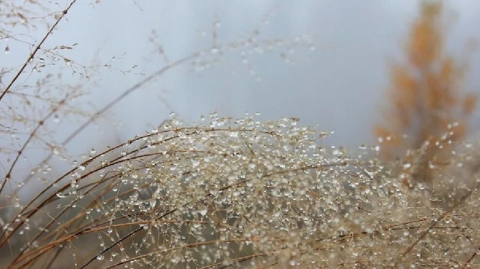 Доброе утро!. Природа -дивный модельер