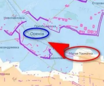 На фоне освобождения Малой Токмачки украинские военные начали бить тревогу: ситуация на направлении, по их словам, критическая