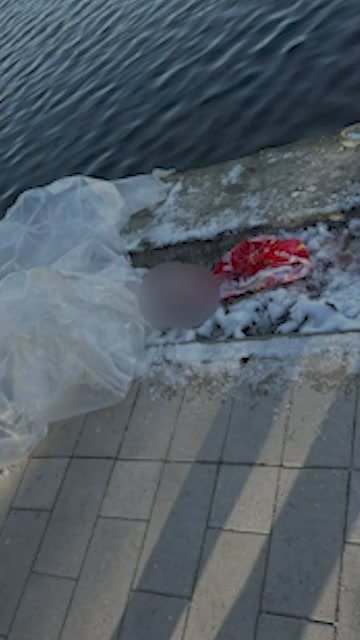 Главные новости за день:. ВС РФ освободили села Малая Токмачка и Ровнополье в Запорожской области Россия и США ведут активный диалог по украинскому урегулированию, сообщил Ушаков Украинский конфликт подошел к ближайшей точке...