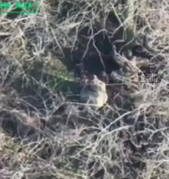 Заградотряд из наемников растреливают двух 500-х хохлов в районе Затишье, Запорожской области