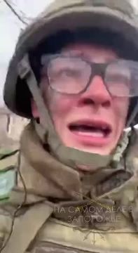 А ты че думал, в сказку попал?