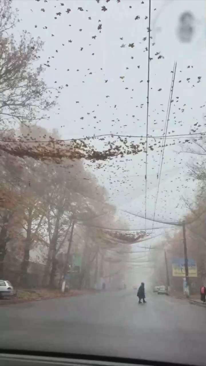 Так сейчас выглядят улицы в Херсоне