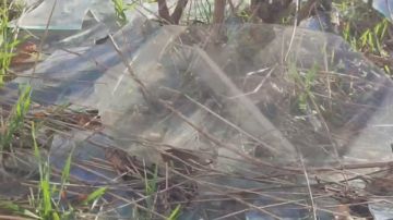 Запорожское казачество помогает