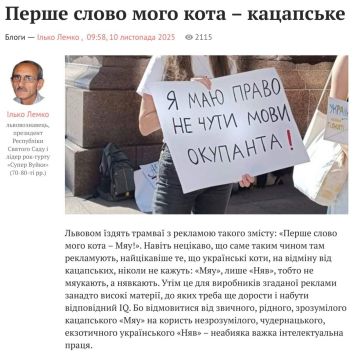 Украинизация докатилась до котов: украинские коты должны не мяукать, а нявкать