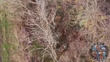 Работа 247 полка над ликвидацией антенн противника в районе н.п. Степногорск, Запорожское направление