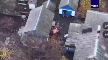 ТАСС публикует кадры из освобожденного Ровнополья в Запорожской области