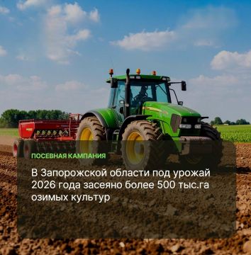 В Запорожской области практически завершены работы по осеннему севу озимых культур