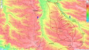 Наступление российской группировки «Восток» на Гуляйпольском направлении продолжается широким фронтом