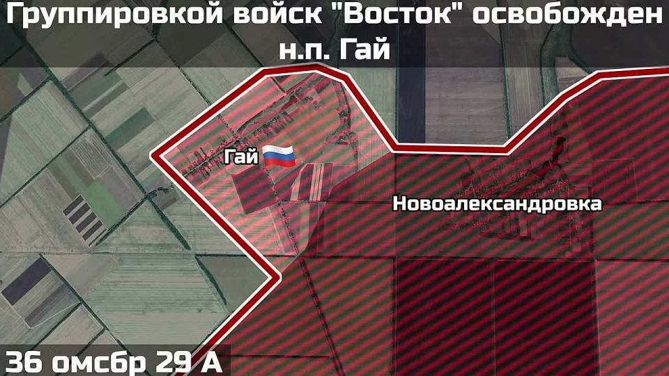 Российские войска освободили населенный пункт Гай на Гуляйпольском направлении, сообщает Telegram-канал “Воин DV”