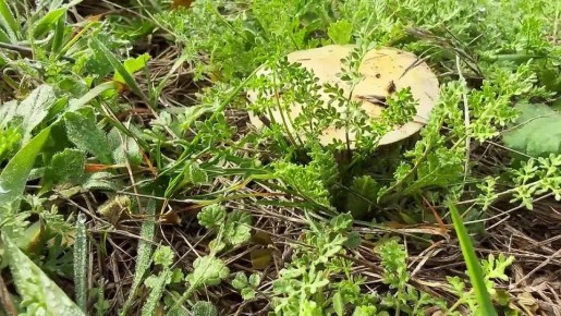 Доброе утро! Новый понедельник — новые возможности