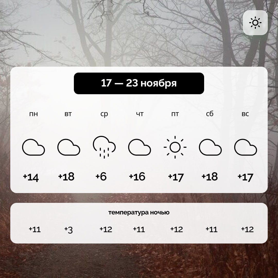 Погода в Запорожской области на 17 — 23 ноября