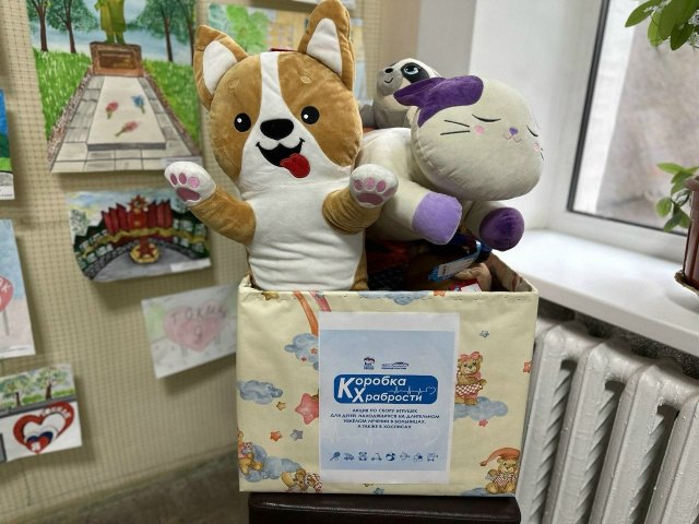 Пензенцы собрали игрушки для детей, проходящих лечение в больнице Токмака Пензенцы собрали игрушки для детей, проходящих лечение в больнице Токмака
