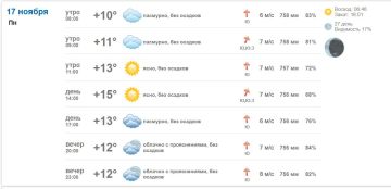 Подробно о погоде в Васильевке 17 ноября 2025 года