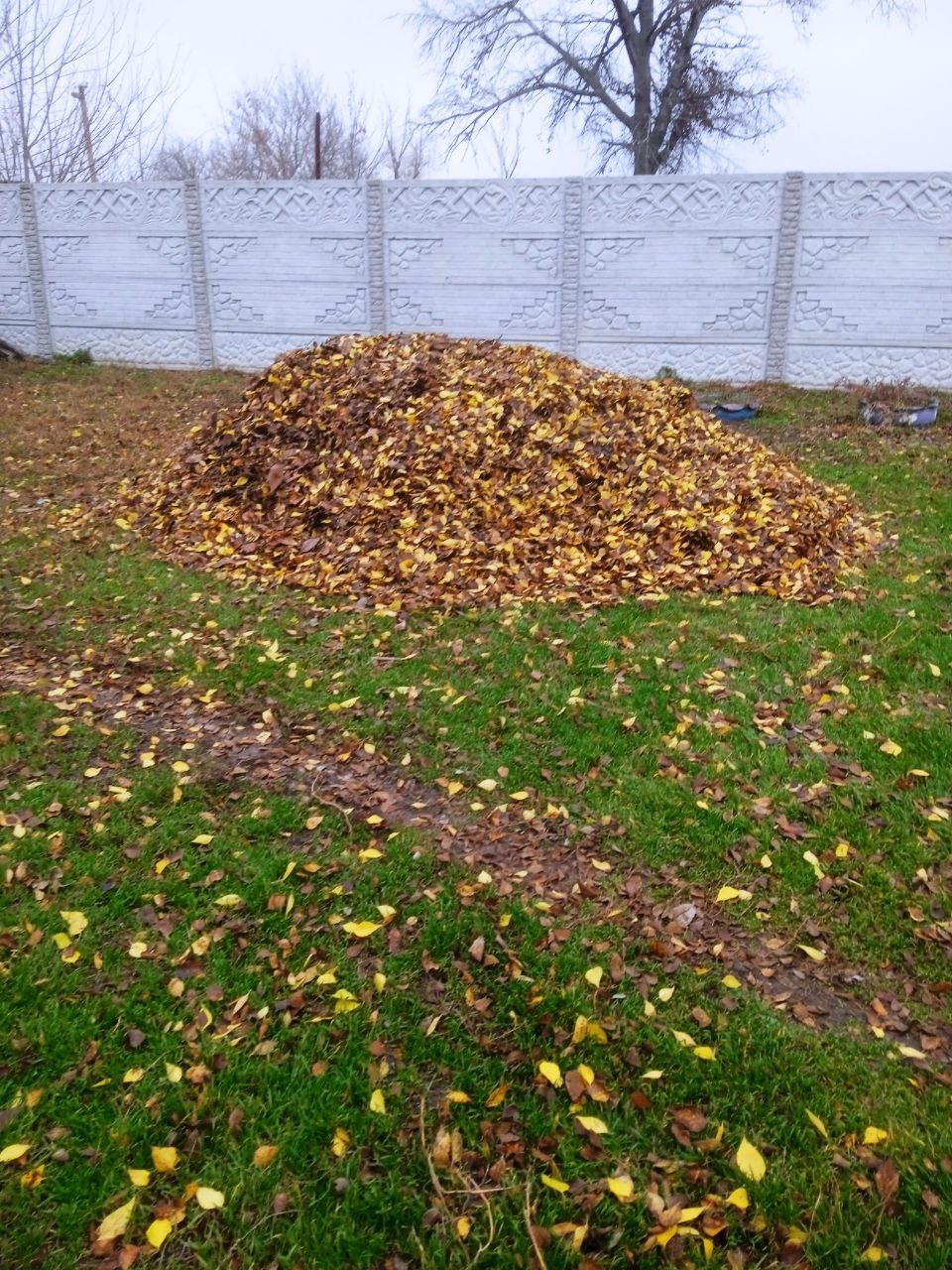 Сотрудники МБУ «Жилсервис» провели уборку территории в селе Орлово