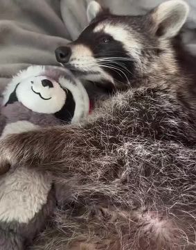 Доброй ночи, дорогие подписчики! Доброй ночи, Запорожье!