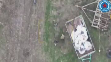 Два майора: Запорожский фронт. Сегодня на Ореховском направлении "БАРС-САРМАТ" работал в интересах 70-го гвардейского мотострелкового полка "стальной" 42-й гвардейской дивизии 58-й армии