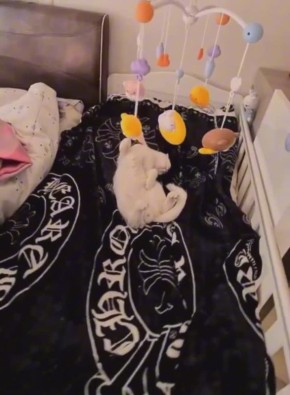 А вот и вечер. Удобно укладываемся и спим