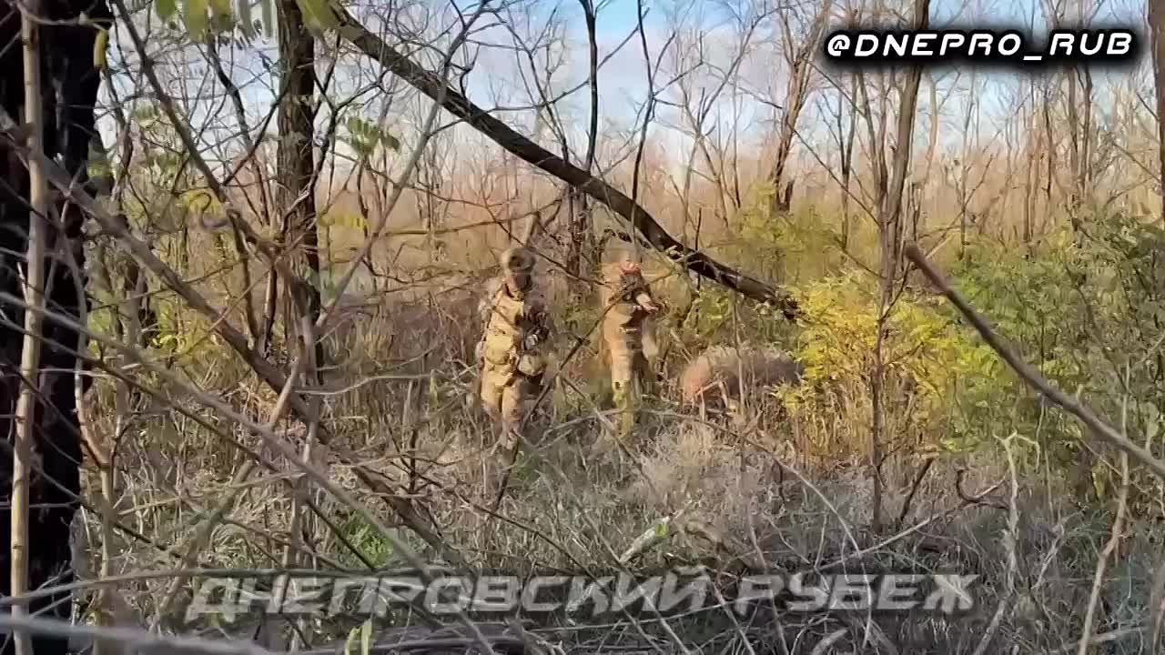 Десантники 98 гв. вдд ВДВ надёжно прикрывают небо Херсонщины на каховском направлении