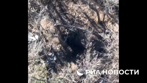 Расчеты БПЛА 42-й дивизии за месяц уничтожили около 20 позиций операторов дронов ВСУ в районе населённого пункта Работино