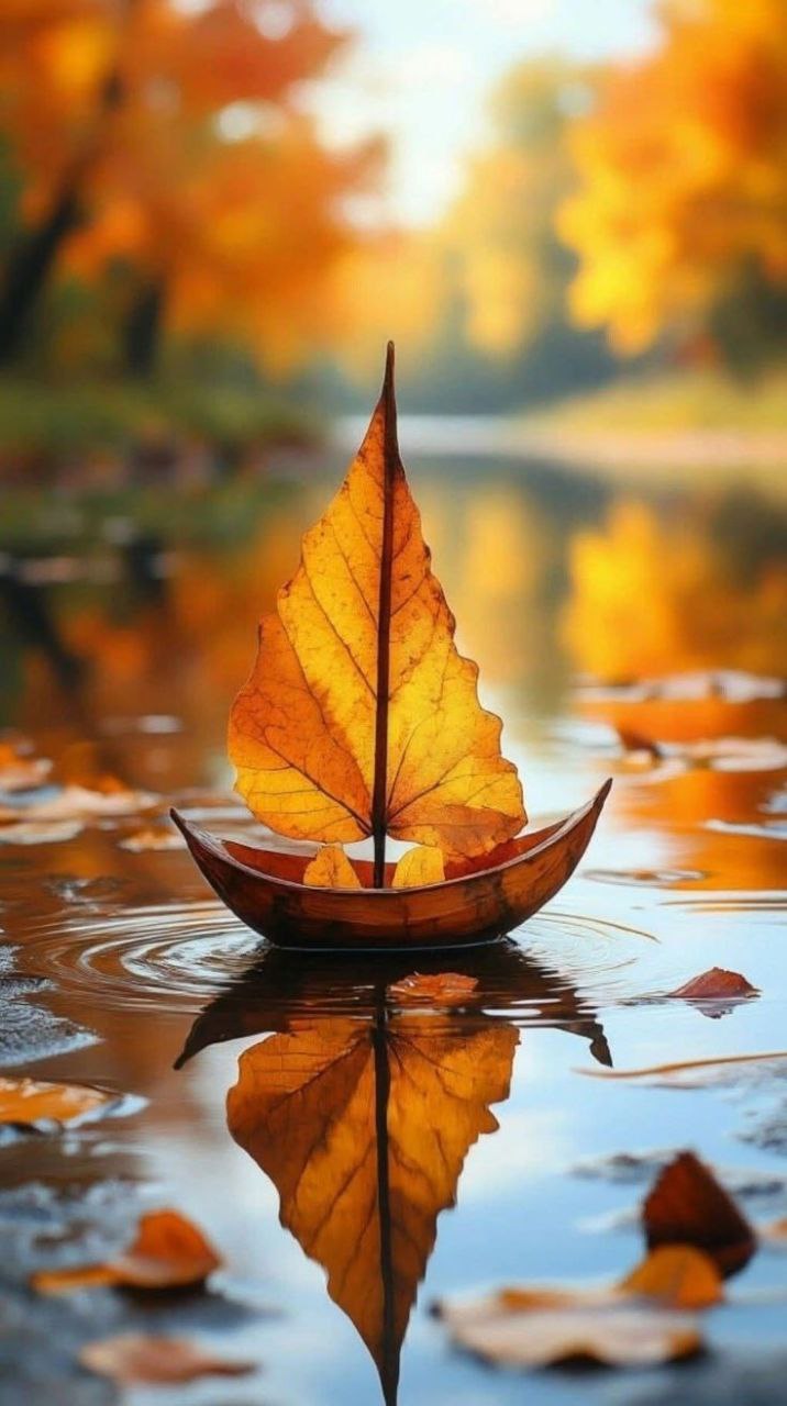 Всем хорошего начала дня!