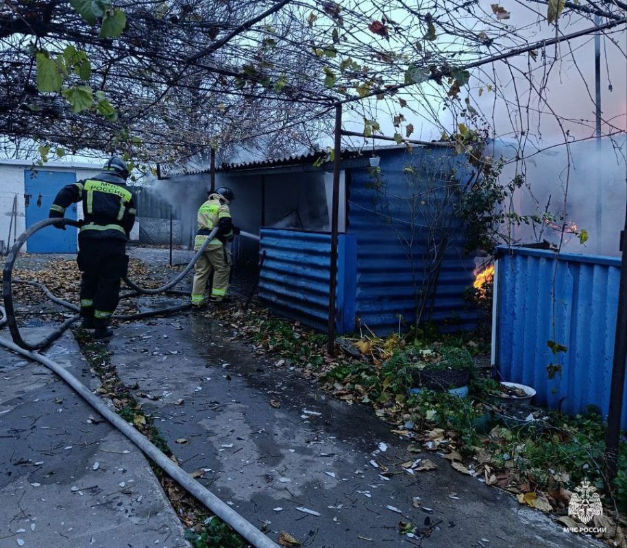 Оперативная информация за сутки