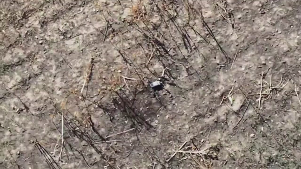 Русская "приблуда" против украинских дронов