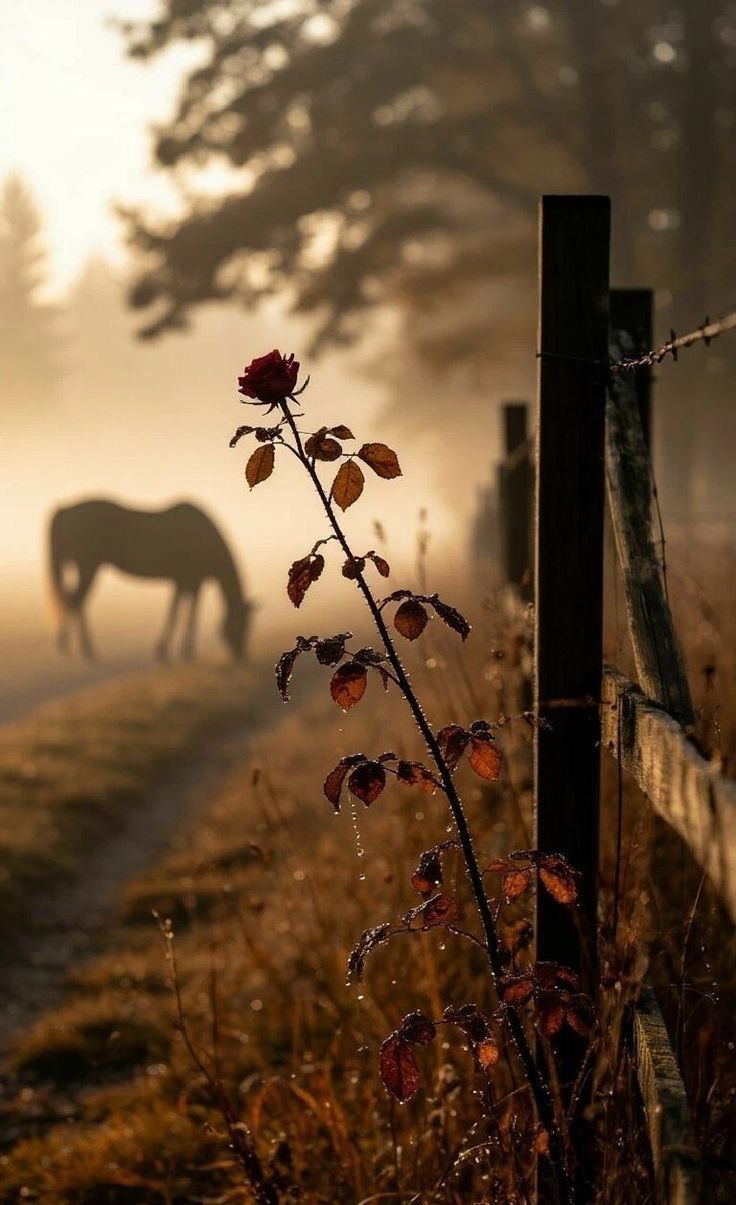 Отличного всем утра!