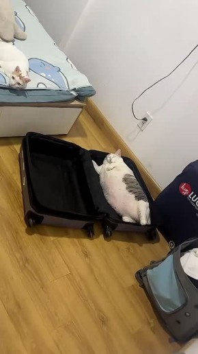 Неспешно начинаем день. Главное — ничего не забыть уходя на работу