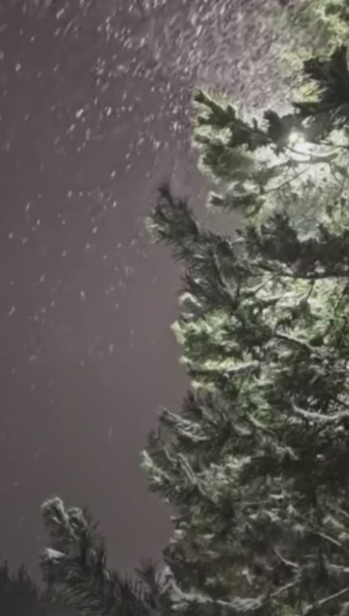 18 ноября в России отмечают день рождения Деда Мороза — символа Нового годаи зимнего волшебства