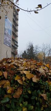  !       ,          ,    