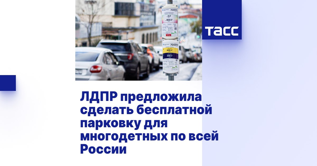 ЛДПР предлагает сделать бесплатную парковку доступной для всех многодетных семей России