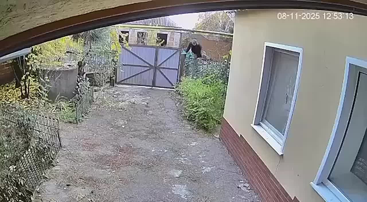 Всушники занимаются мародерством