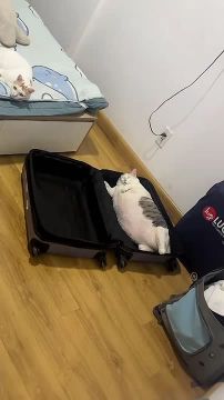 Неспешно начинаем день. Главное — ничего не забыть уходя на работу