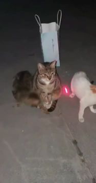 Неужели уже вечер?. Когда пришел с работы и дети хотят поиграть, а ты за целый день уже «наигрался»