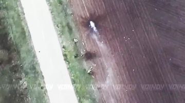 Противник покидает оборонительные позиции к востоку от Гуляйполя, надеясь спасти свою жизнь, но по итогу боевики остаются лежать вдоль дороги навсегда