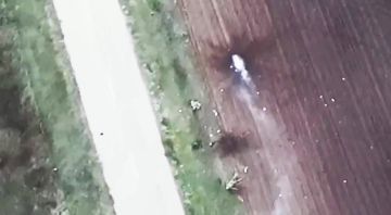 Алексей Гавриш: Участок трассы Гуляйполе-Малиновка, который уже прозвали "дорогой смерти"