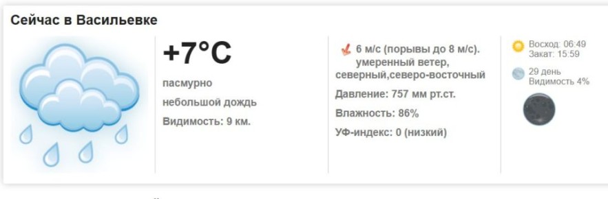 Сегодня, 19 ноября 2025 года в Васильевке пасмурно, небольшой дождь