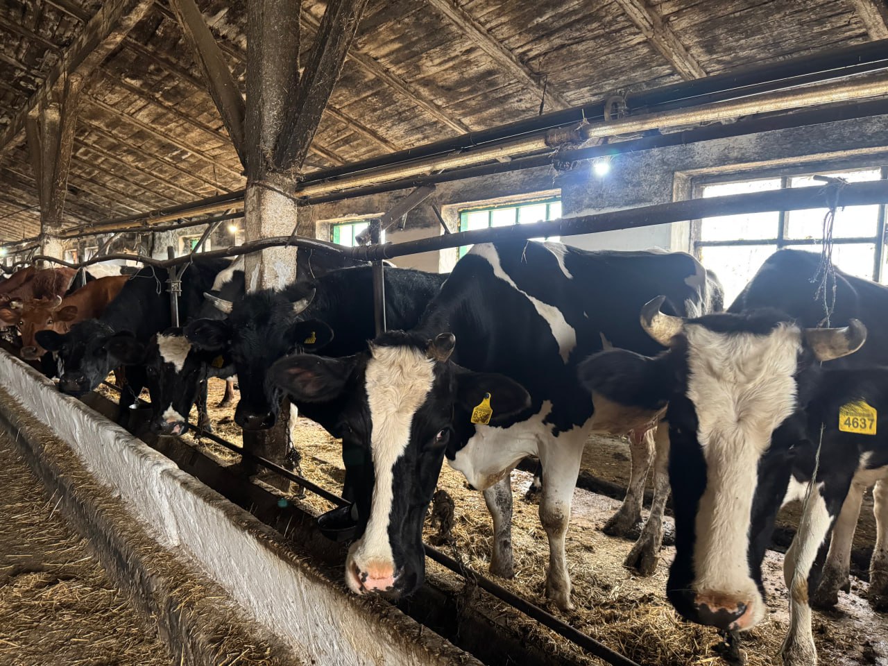 Арсен Арзиев с рабочим визитом посетил предприятие в Запорожской области Арсен Арзиев с рабочим визитом посетил предприятие в Запорожской области