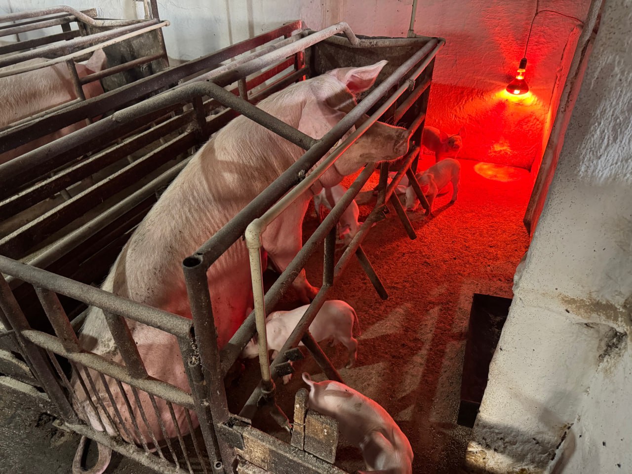 Арсен Арзиев с рабочим визитом посетил предприятие в Запорожской области Арсен Арзиев с рабочим визитом посетил предприятие в Запорожской области