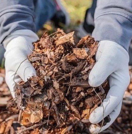 Куда девать ветки правильно Куда девать ветки правильно