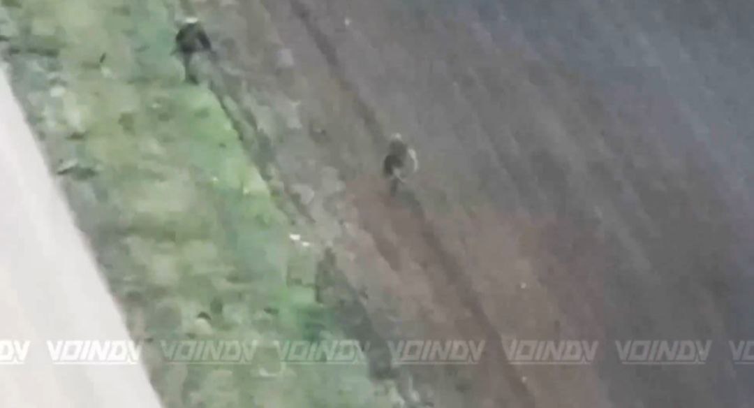 Из Гуляйполя сбежит не каждый Из Гуляйполя сбежит не каждый