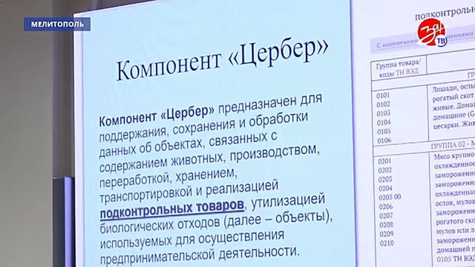 В Мелитополе состоялся обучающий семинар «Ветеринария в цифре: Хорриот и Меркурий»