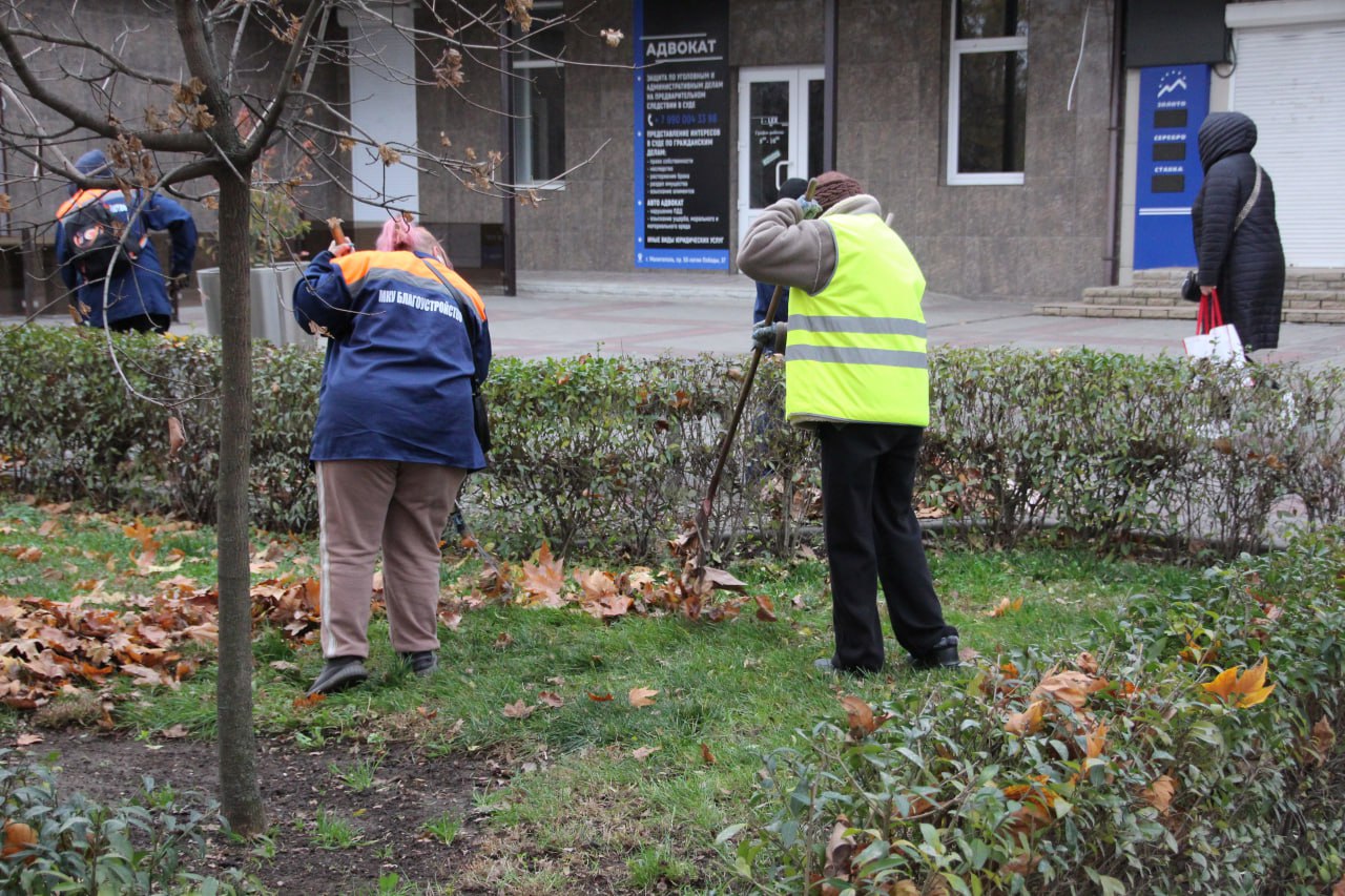 Коммунальщики Мелитополя провели уборку опавшей листвы Коммунальщики Мелитополя провели уборку опавшей листвы
