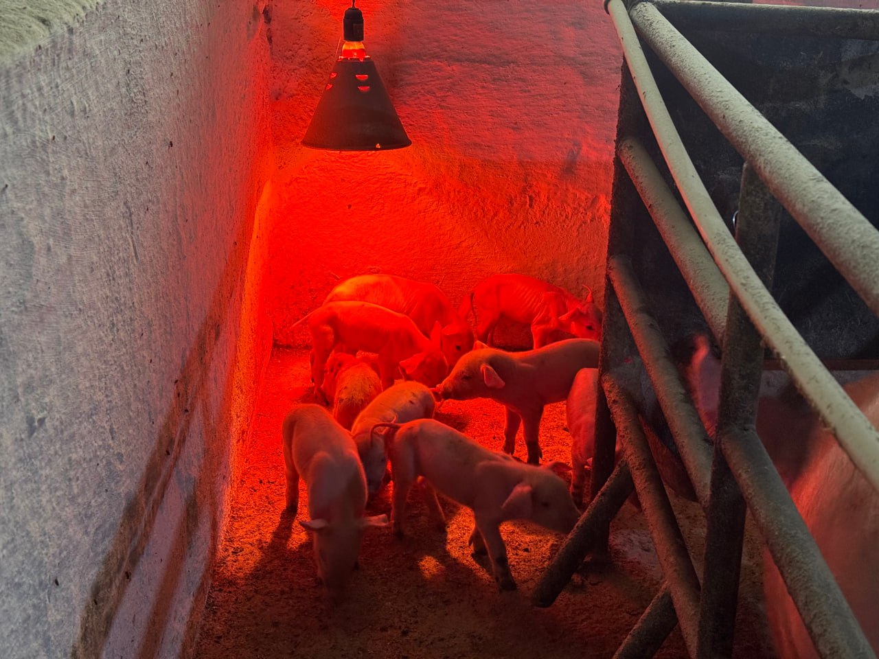 Арсен Арзиев с рабочим визитом посетил предприятие в Запорожской области Арсен Арзиев с рабочим визитом посетил предприятие в Запорожской области