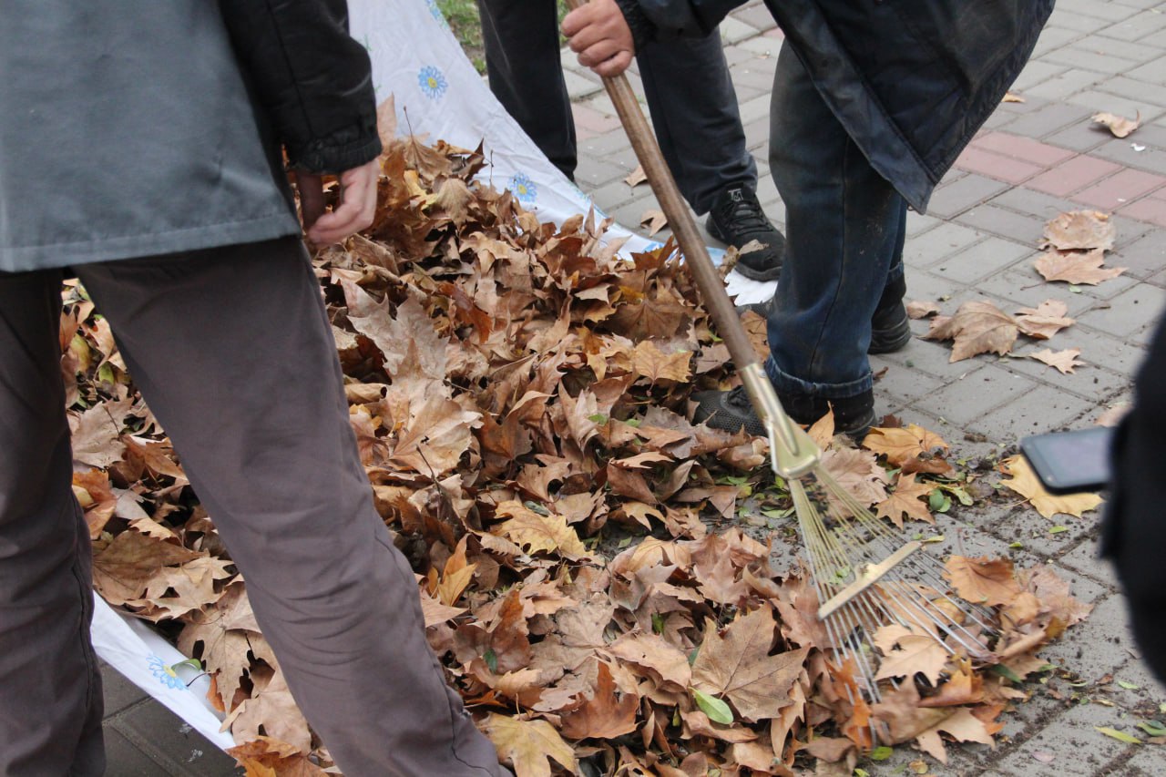 Коммунальщики Мелитополя провели уборку опавшей листвы Коммунальщики Мелитополя провели уборку опавшей листвы
