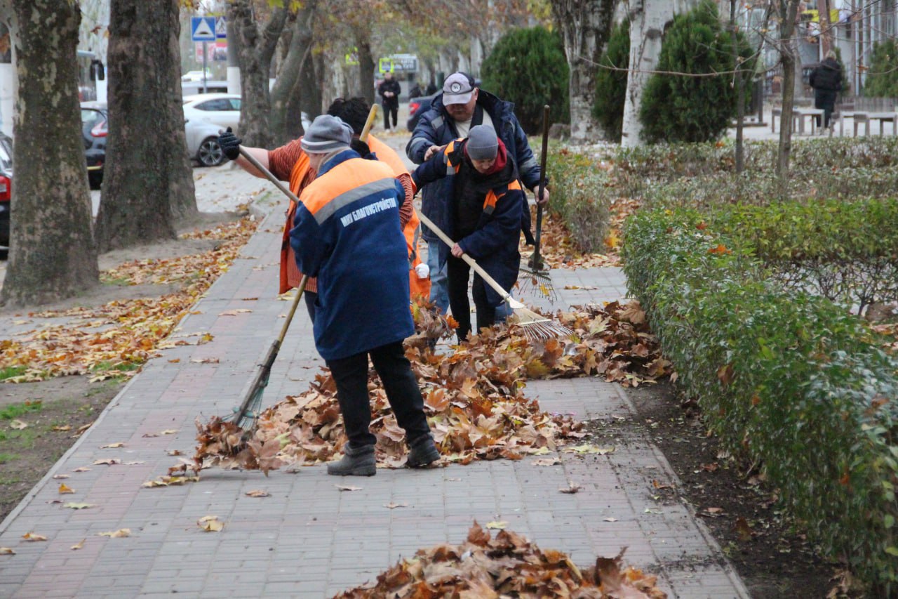 Коммунальщики Мелитополя провели уборку опавшей листвы Коммунальщики Мелитополя провели уборку опавшей листвы