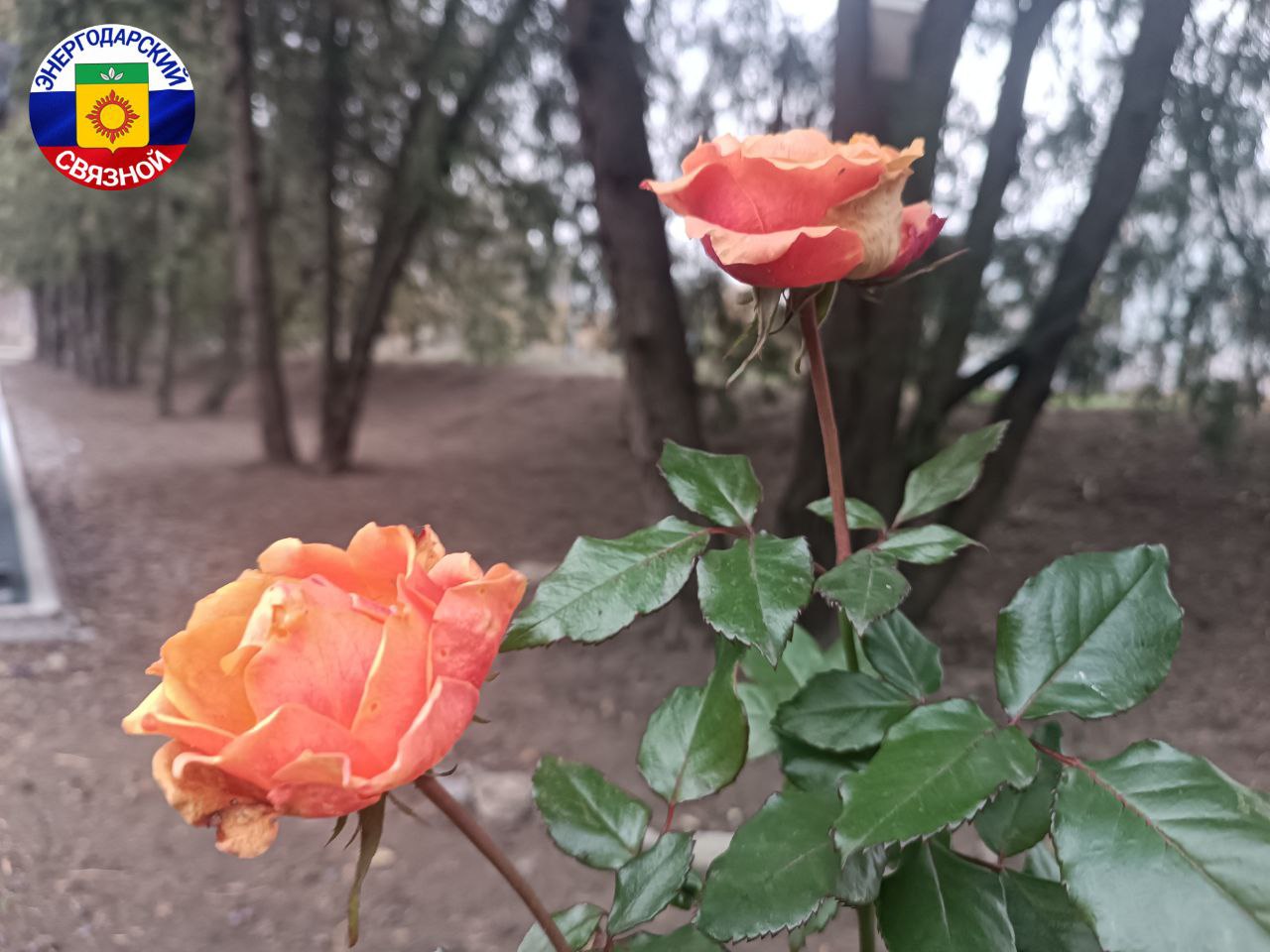 19 ноября – День запаха свежего хлеба